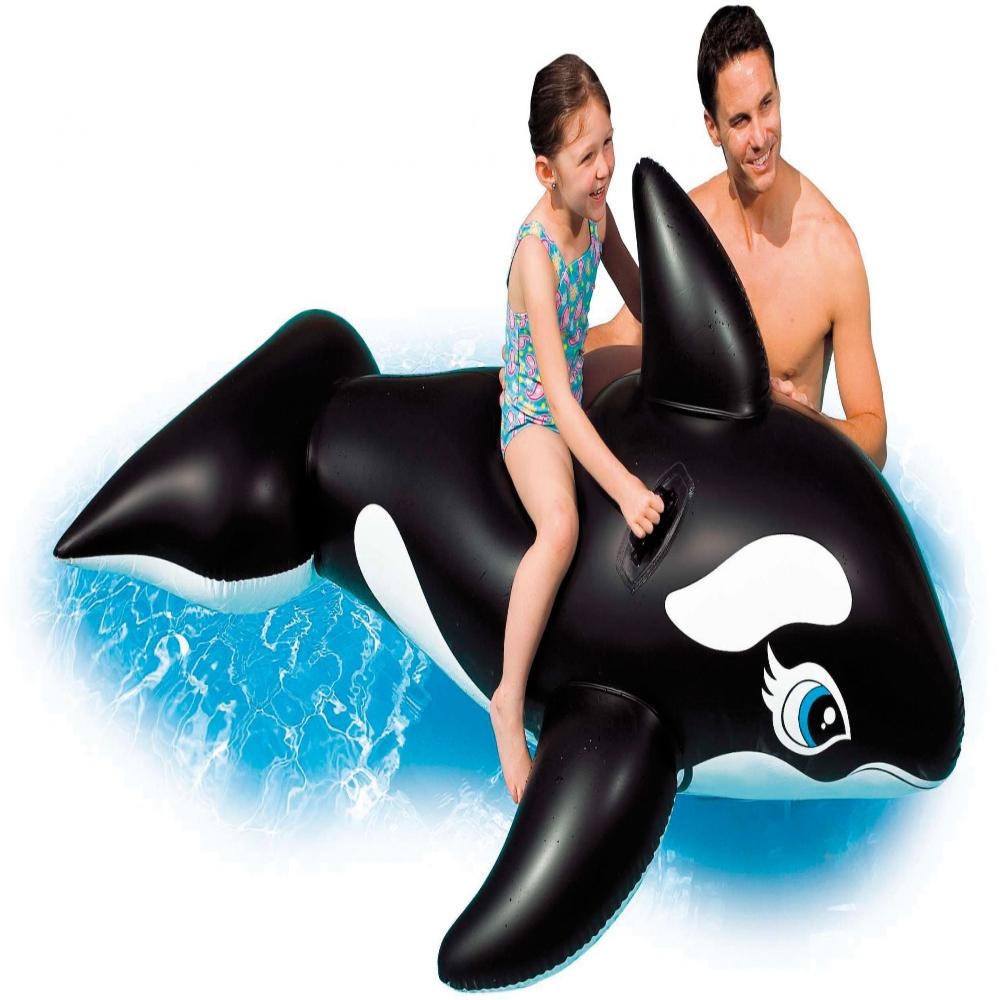 whale